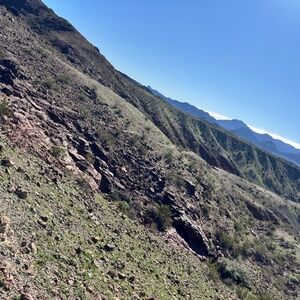 Meet your Posher, Gloria